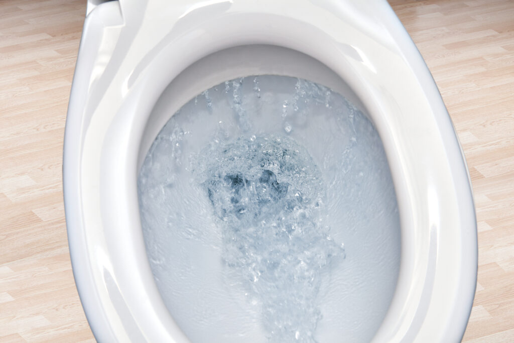 How To Avoid a Flooded Bathroom When Your Toilet Overflows
